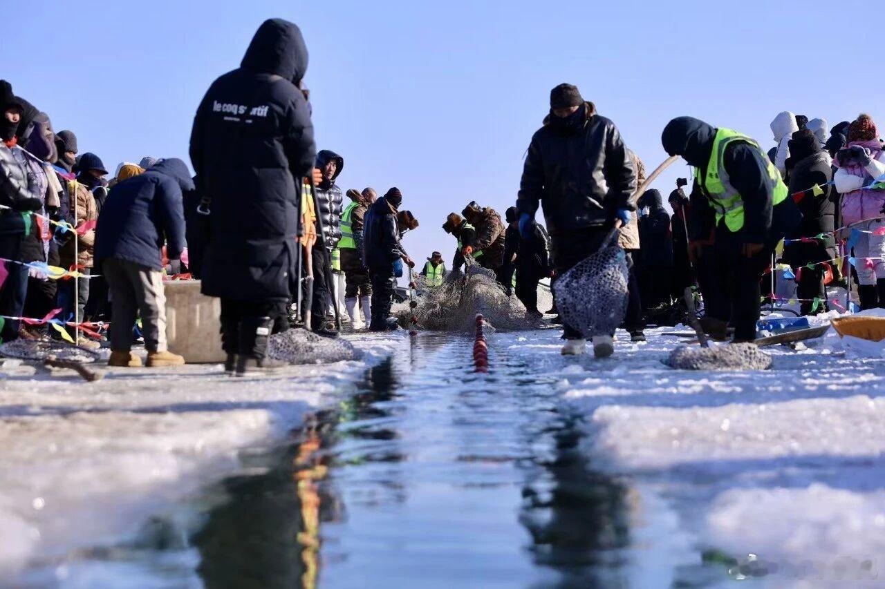 东北冬捕 能够钓到了这么大的鱼，真的是太让我觉得惊喜无比了呀，相信大家也会感受得