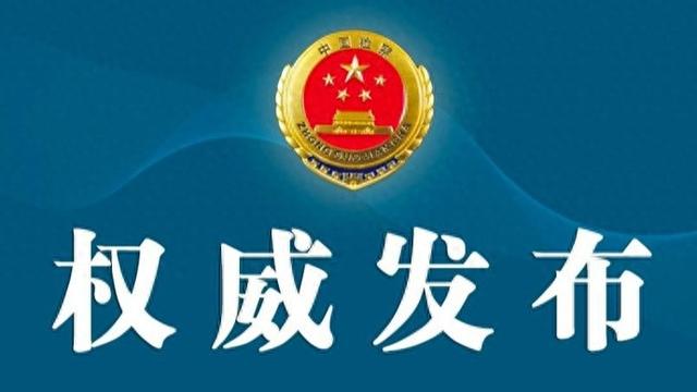 300元“包过审”？一张P来的沪牌，让三方全栽了