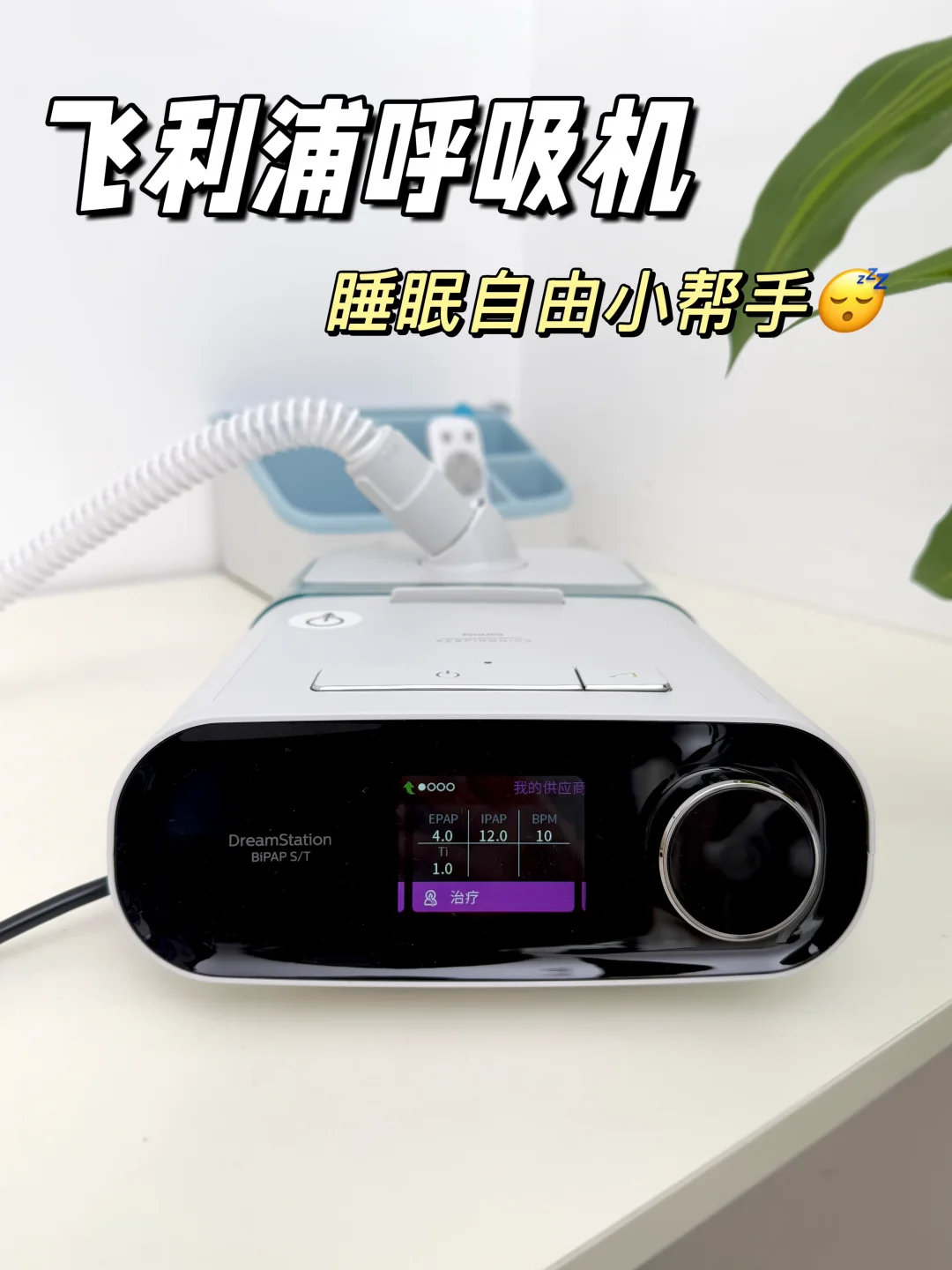 我今天想谈谈“睡眠自🌿由”