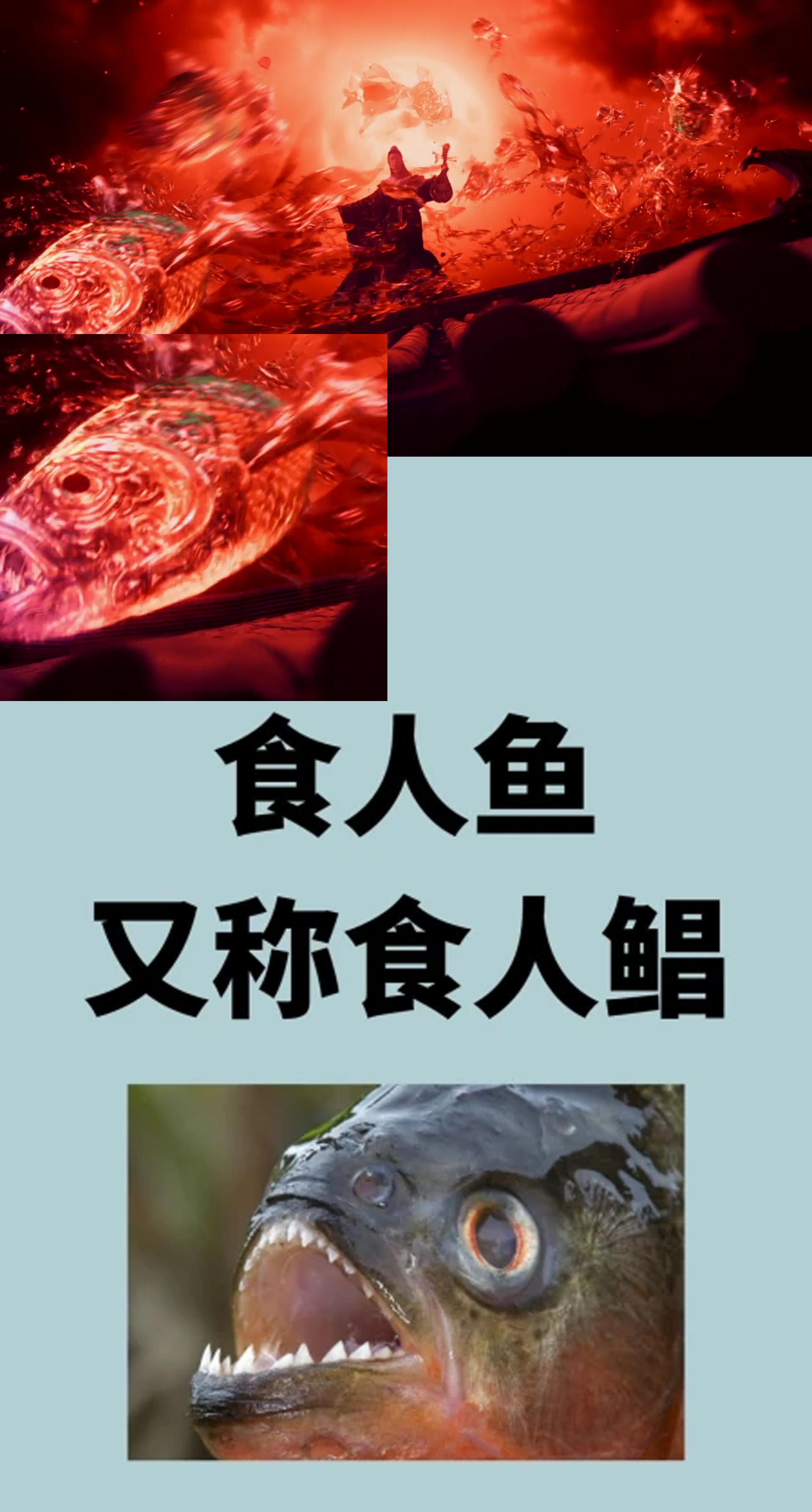 水龙吟 细节了，琵琶音杀的具象化是食人鲳 ​​​水龙吟首支片花 ​​​