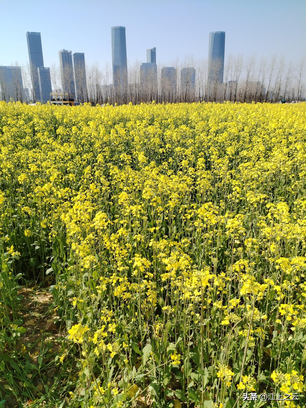 一句话记录春日心情春光无限好，花时候。春院宴开，春屏环绣。春酒争持介眉寿。春衫春