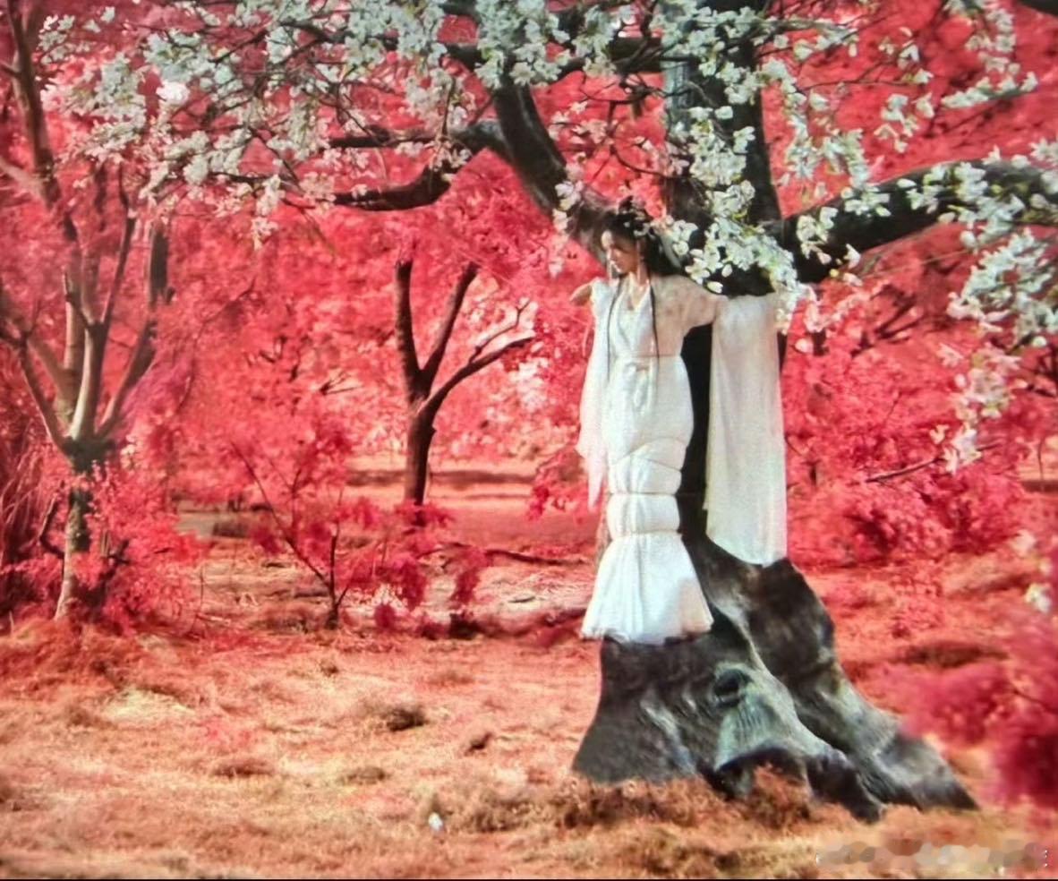 给林允捆成美人鱼了起猛了在水龙吟看到美人鱼了 起猛了在水龙吟看到美人鱼了 ​​​