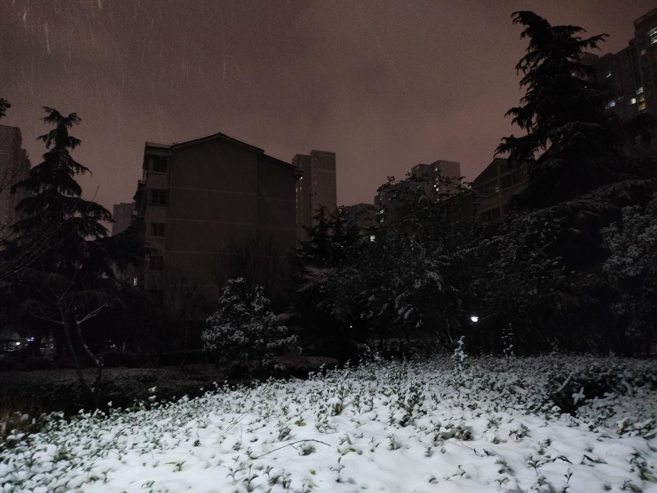 雪

白日出门银装裹，

恰似天上掉仙娥。

午夜卸妆污水河，

实则腹中无点墨