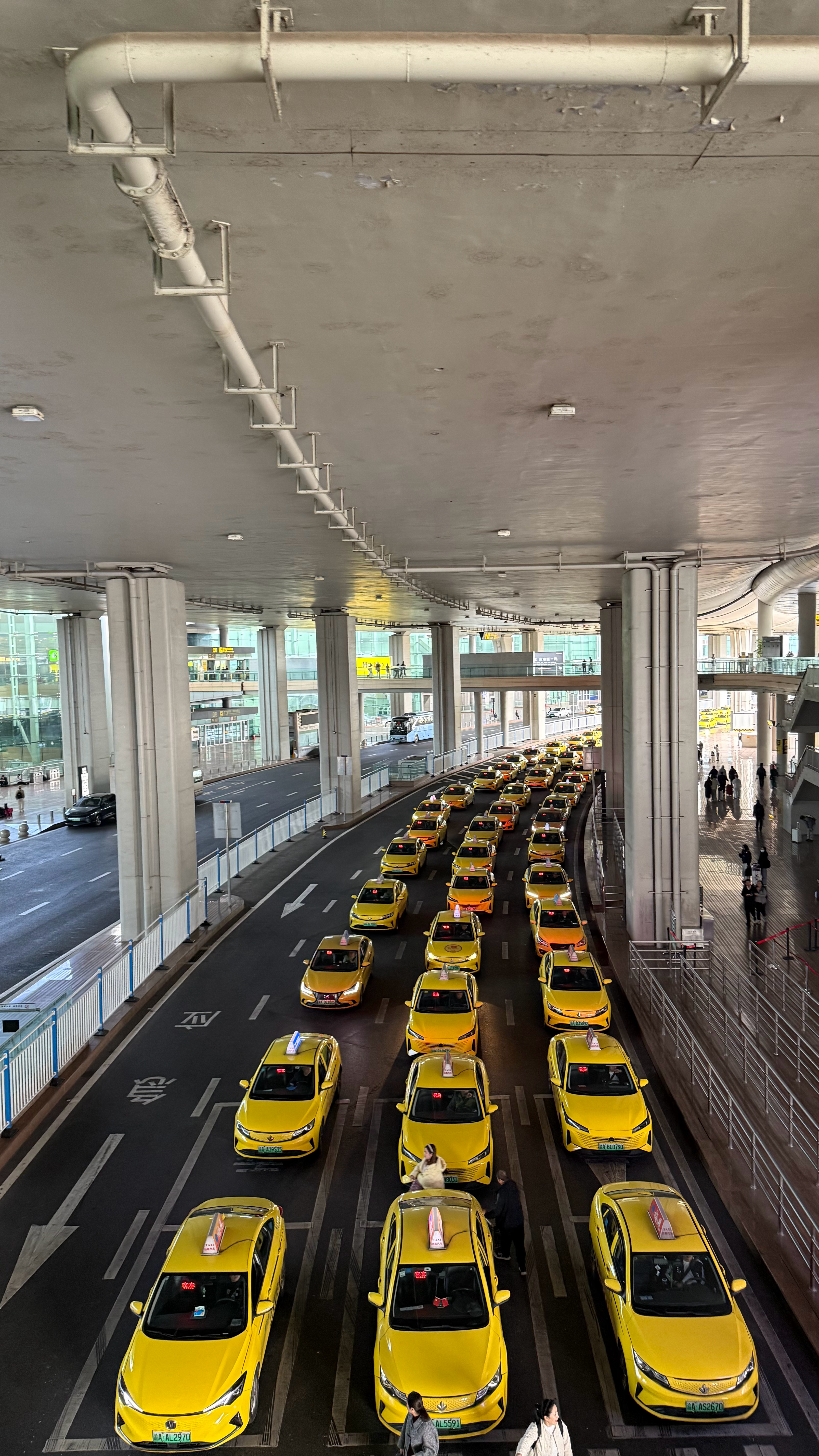 我都叫他们不要来接了非要搞这么大阵仗 