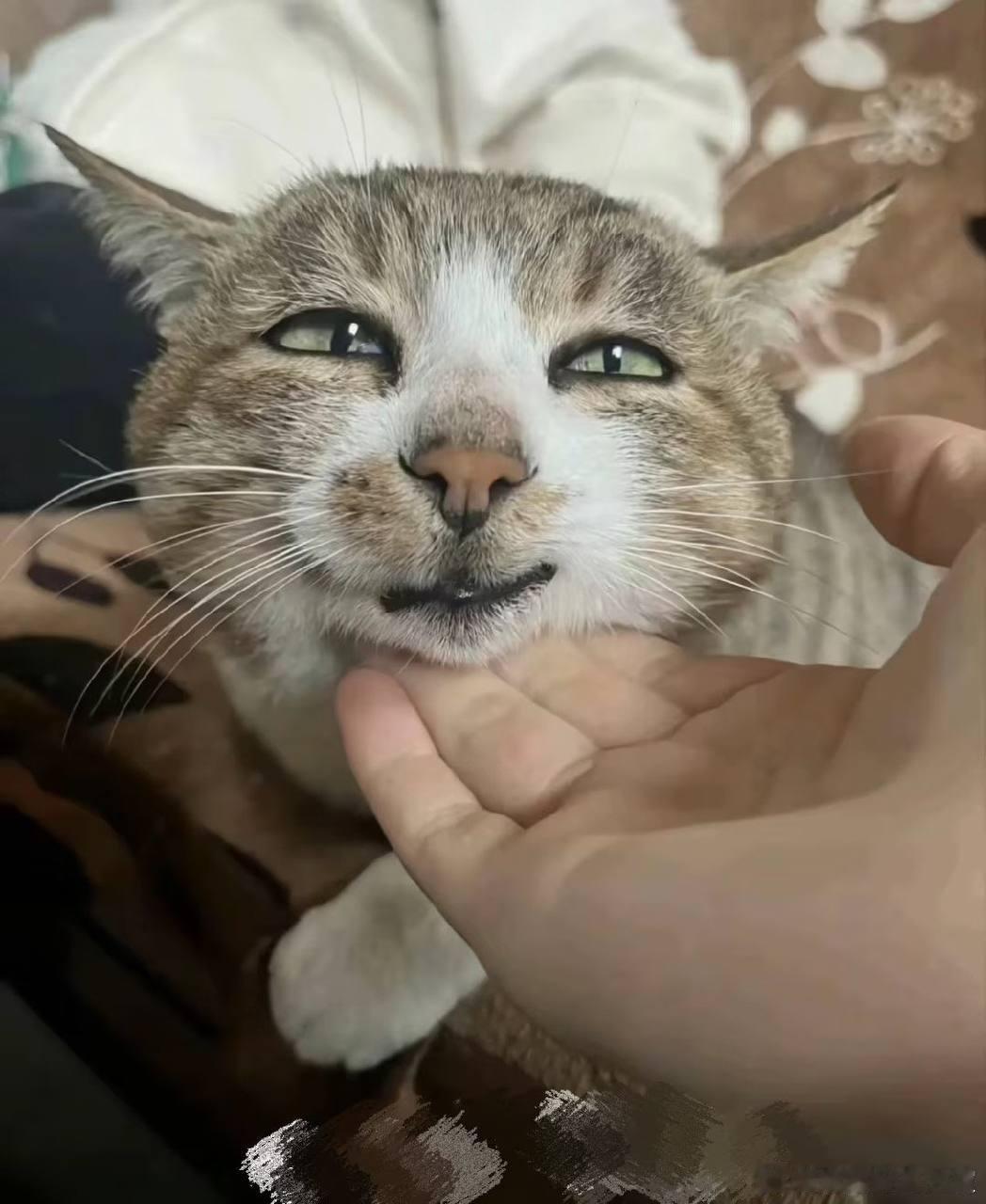 ？？？ 