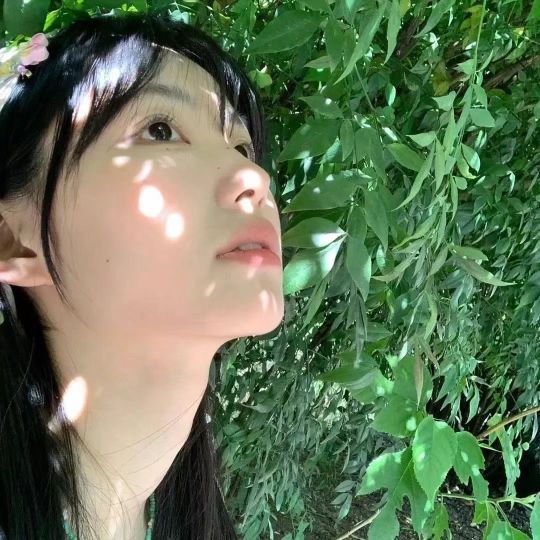 绿色系头像分享无水印头像[超话] ​​​