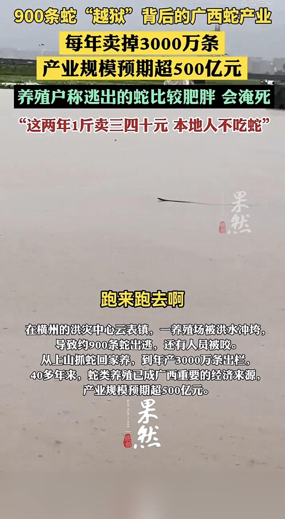 你最近刷到广西蛇产业的相关报道了吗？当地现在一年能养出3000万条蛇，不少村子靠