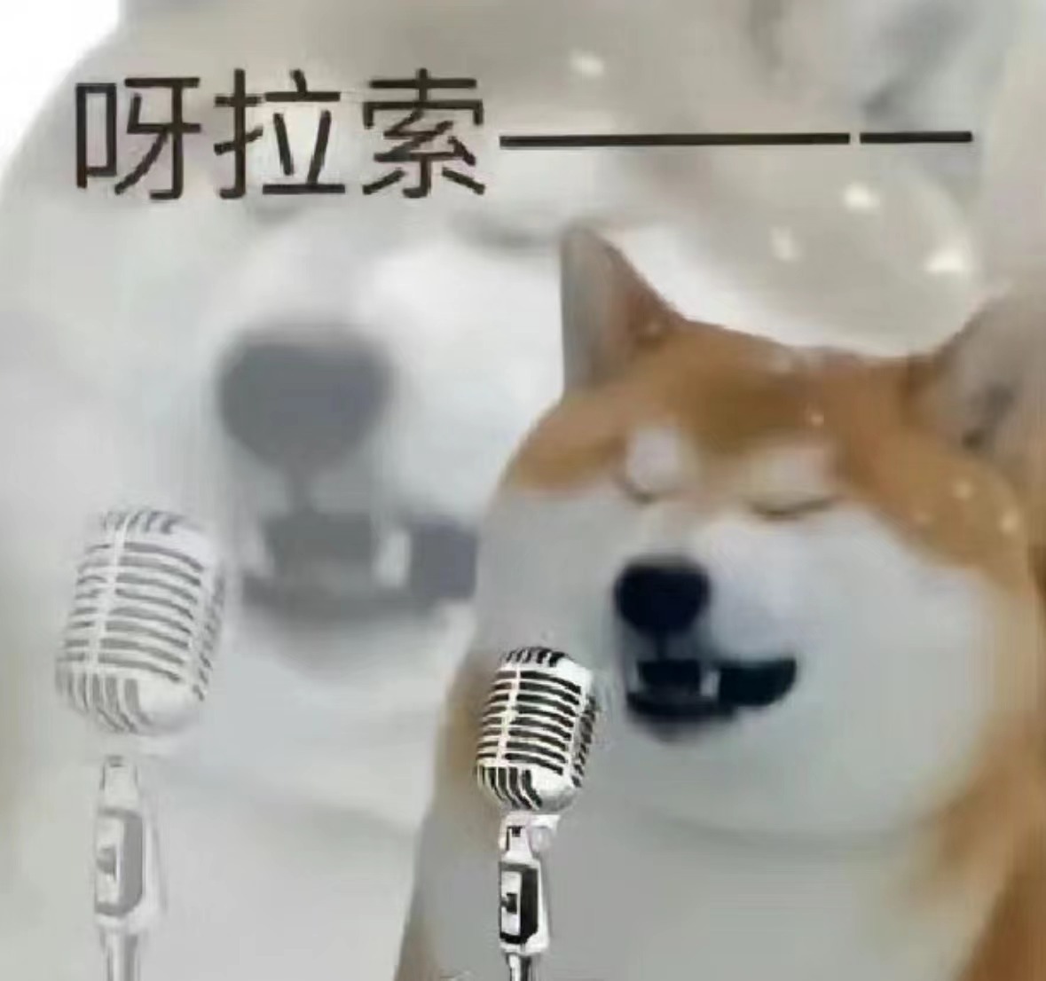 #每天一条冷知识# 唱歌跑调是一种病吗？原来还真是……有统计表明，有10%的人先