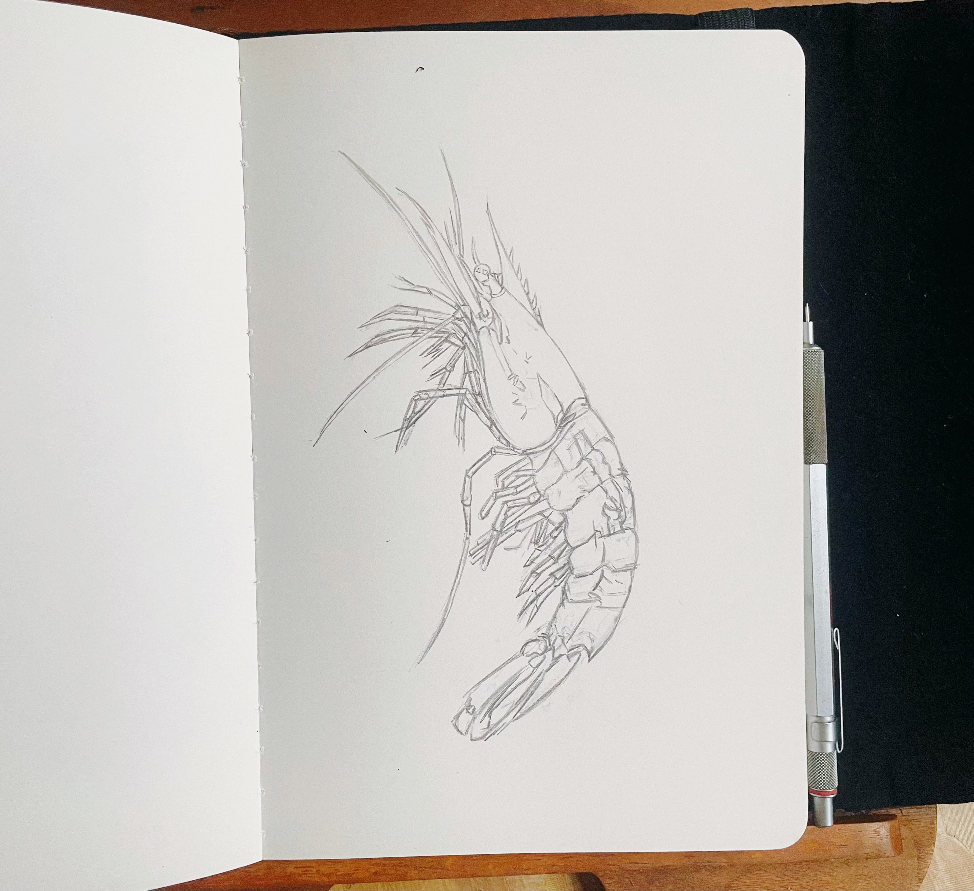 小龙虾🦞线稿绘制完成✔️未完待续！超话创作官遇见艺术插画新城事 准备上钢笔✒️