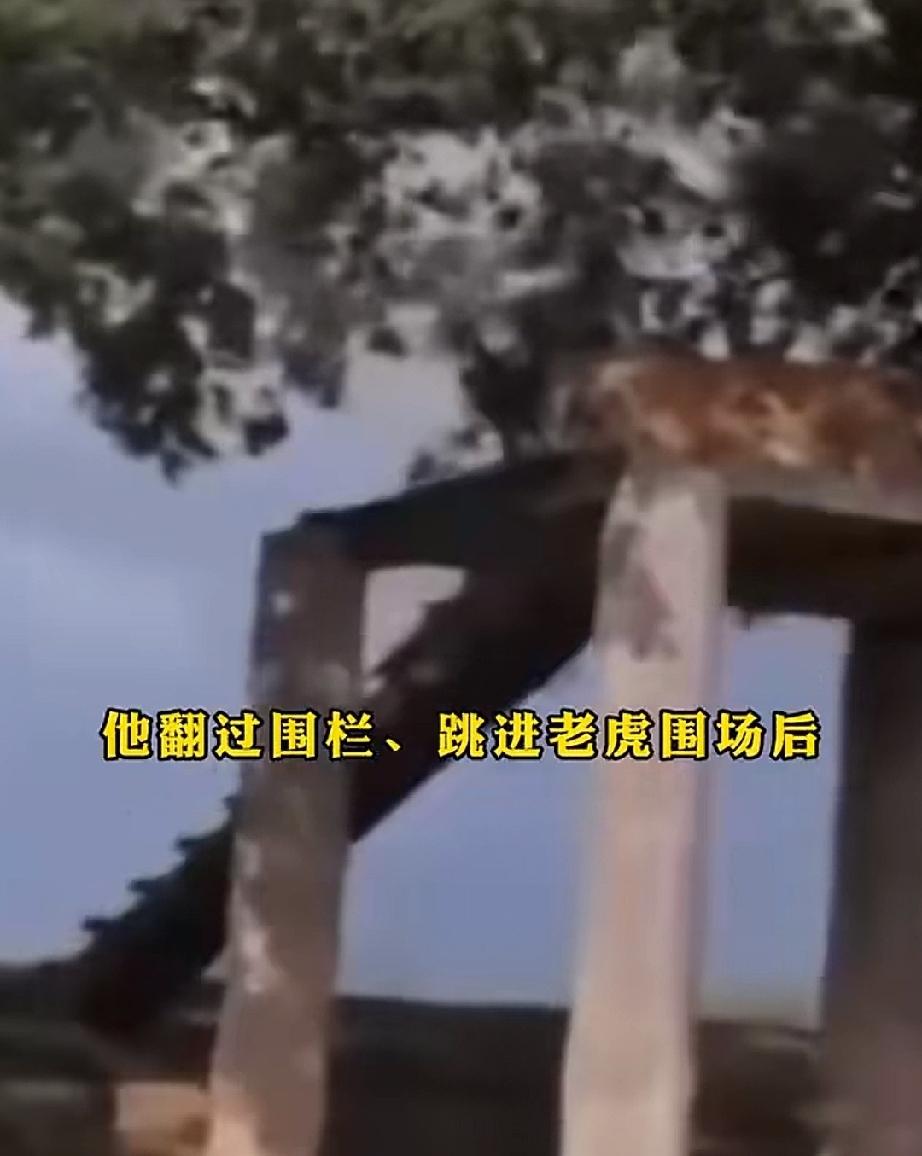 10月10日，英国唐卡斯特市野生动物园。24岁男子威廉•查普曼独自来到动物园，在