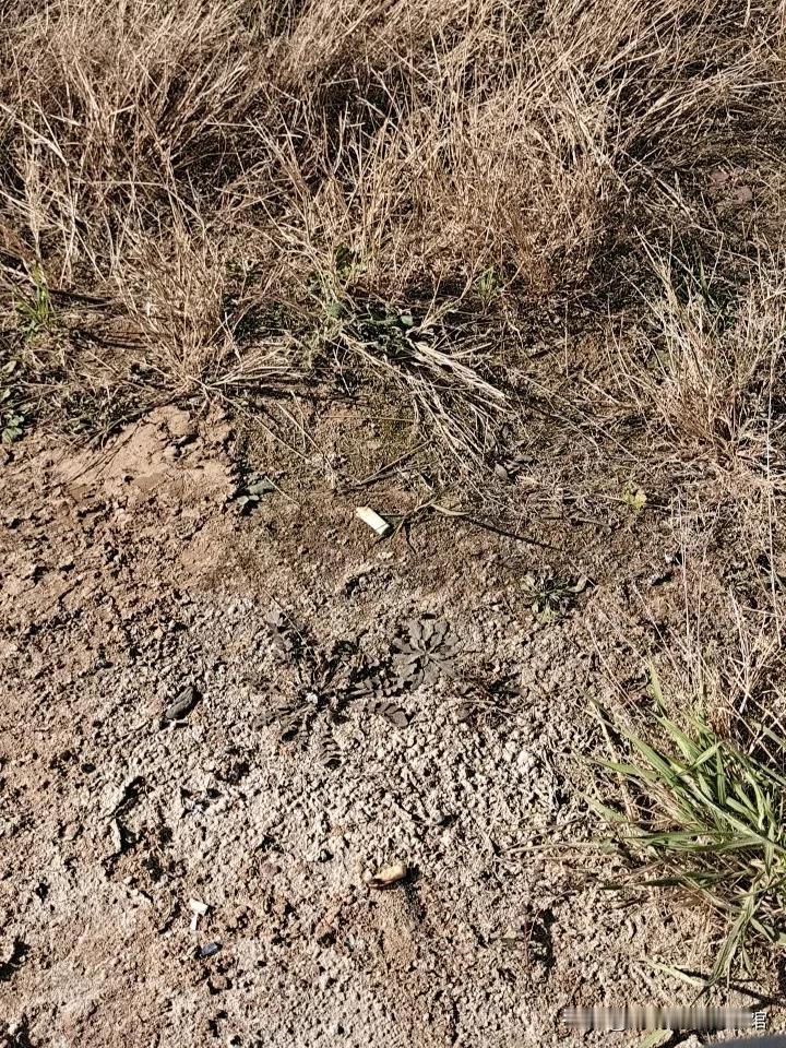 请给我们一个合理的解释，购买高铁站需要实名认证，买飞机票呢也需要实名认证，买电话