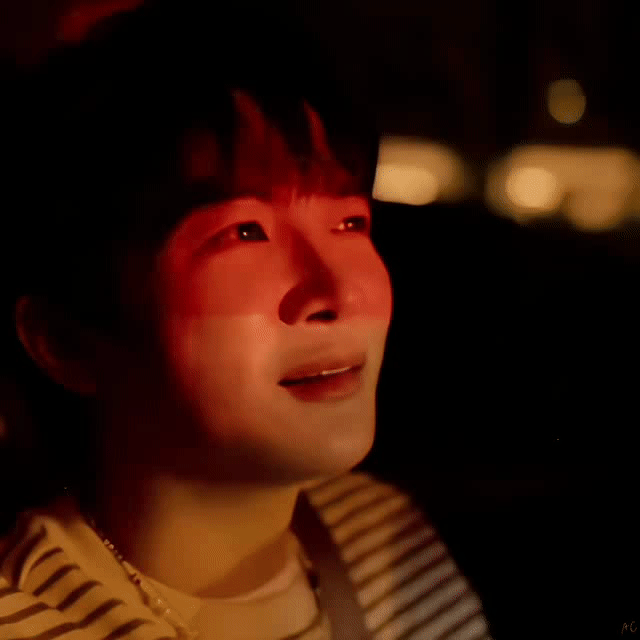 【圈宝和米说午安】落在风中的故事，在枝头飘呀飘，照耀着这里的午后，潜入守候的梦。