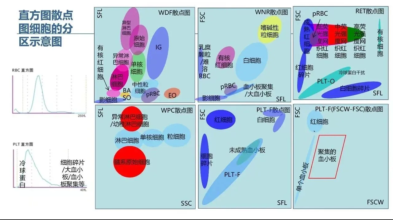 血常规散点图