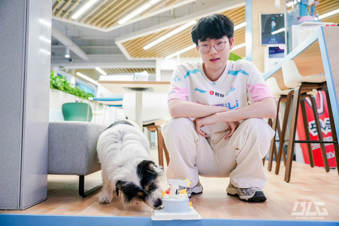 咕噜噜2岁生日快乐!!🎂画面中有两只很萌🐾 