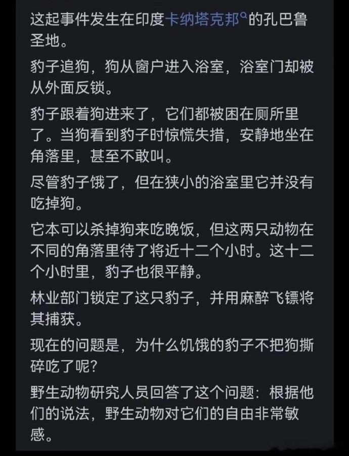 人也是被社会驯化的野生动物，每天在固定的工位和不宽敞的家里，得抑郁症才是正常的。