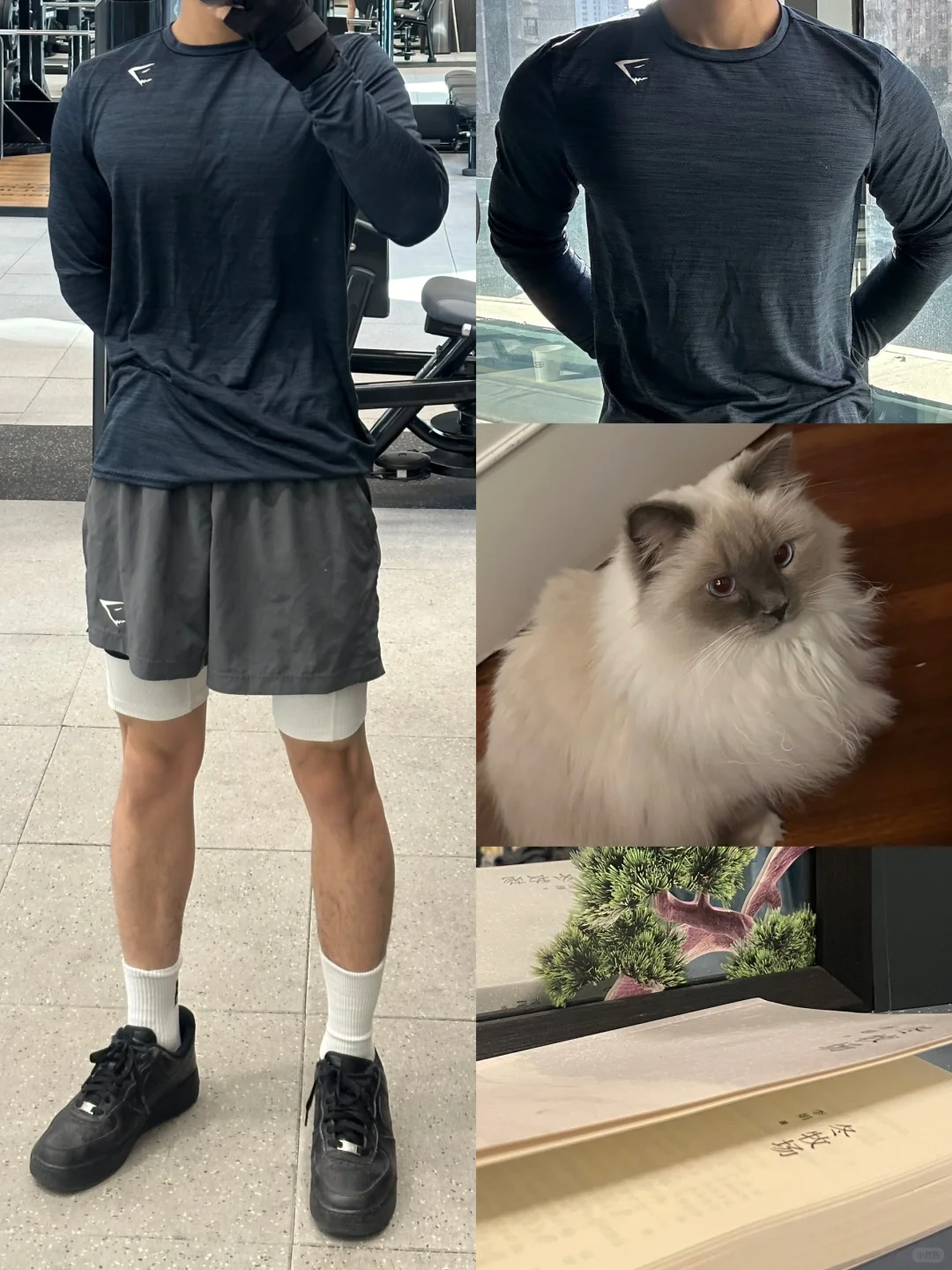 健身男又来发小作文了