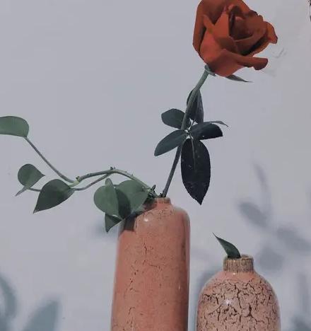 一段感情：无论男女，都希望对方能理解自己。能理解的其实不少，难得的是

理解之后