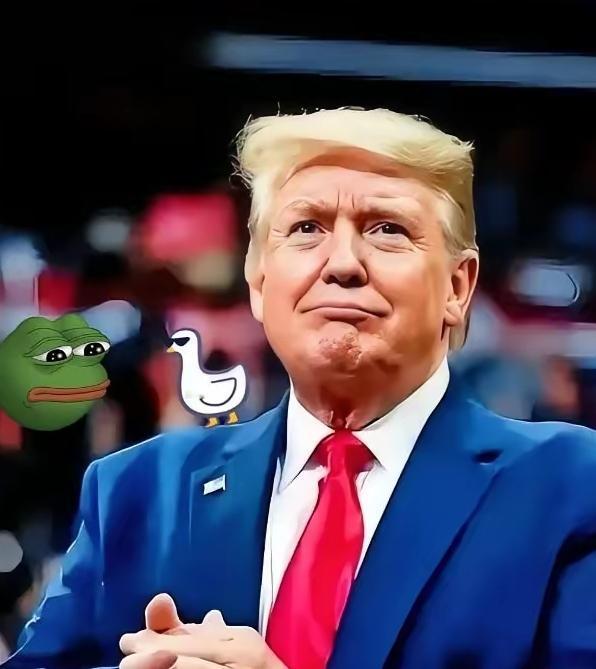 快讯快讯
2026年元旦，美国突然向联合国转账20亿美元，及时缴清欠费，避免投票