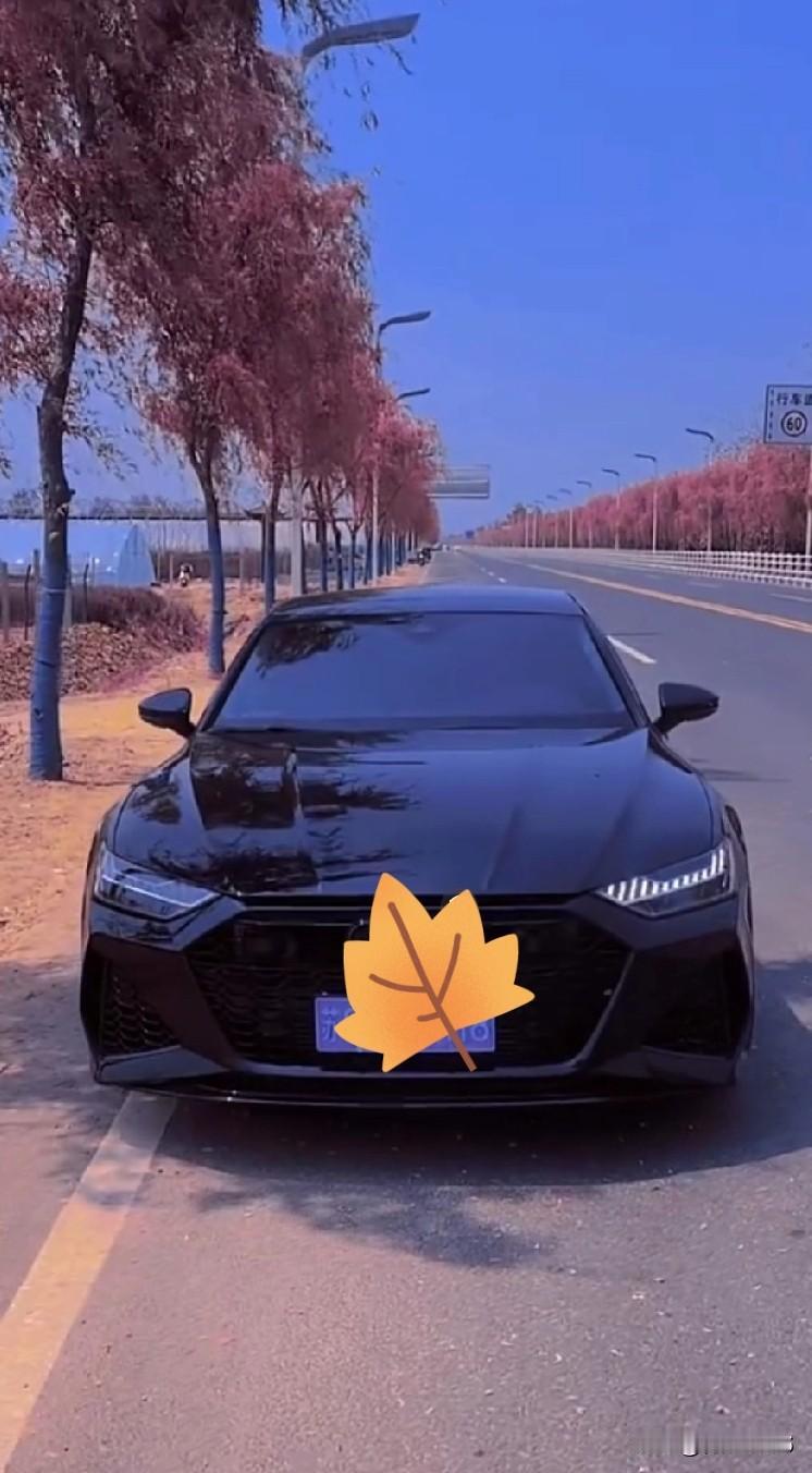 《早春》
杨柳依依恋早春
冰消雪化不留痕
山幽水静东风暖
雨过无声洗旧尘