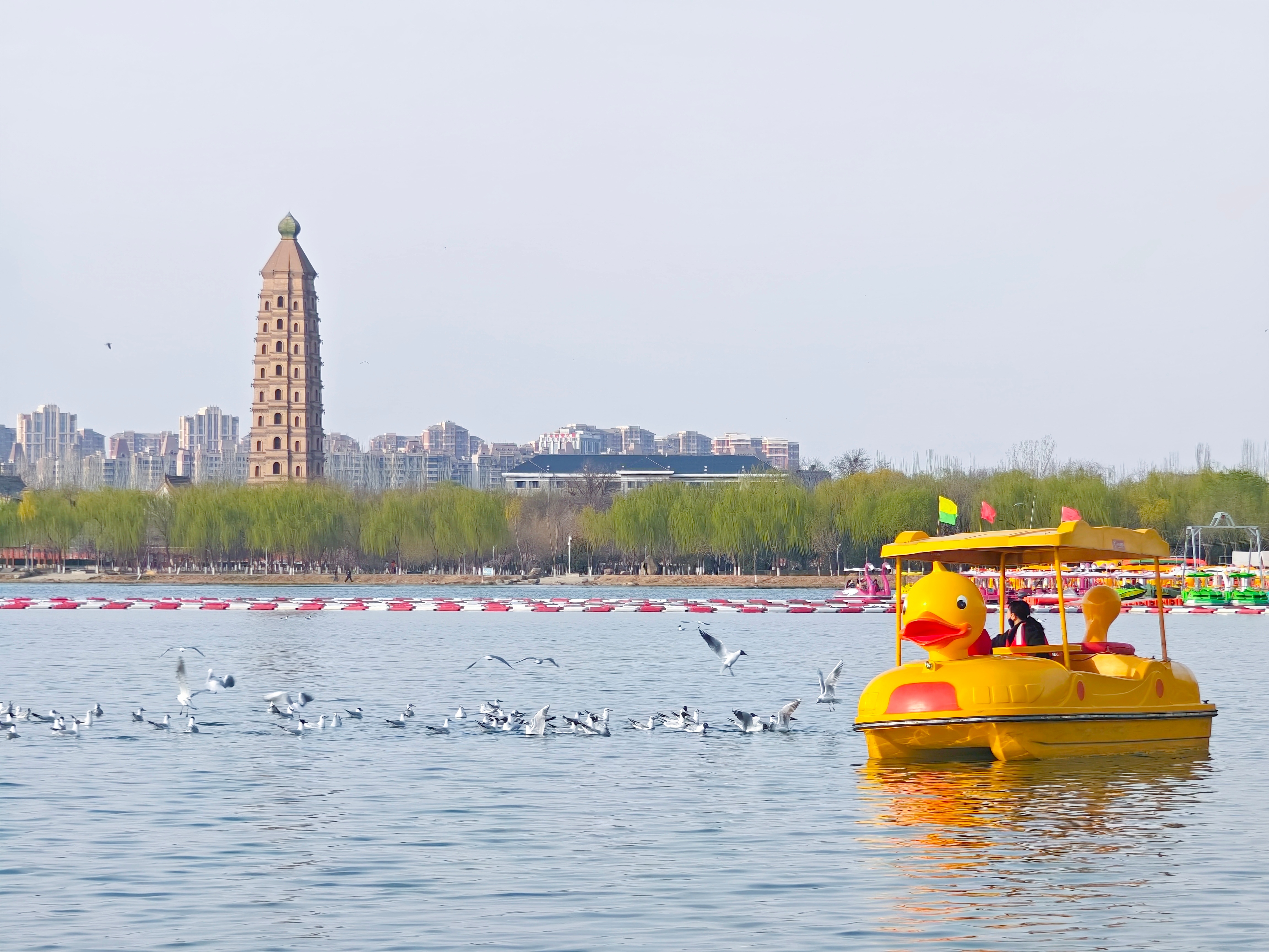 花有重开日，人无再少年。人如飞鸟，在时空的幻境里翱翔。春似流水，梦里花落知多少…