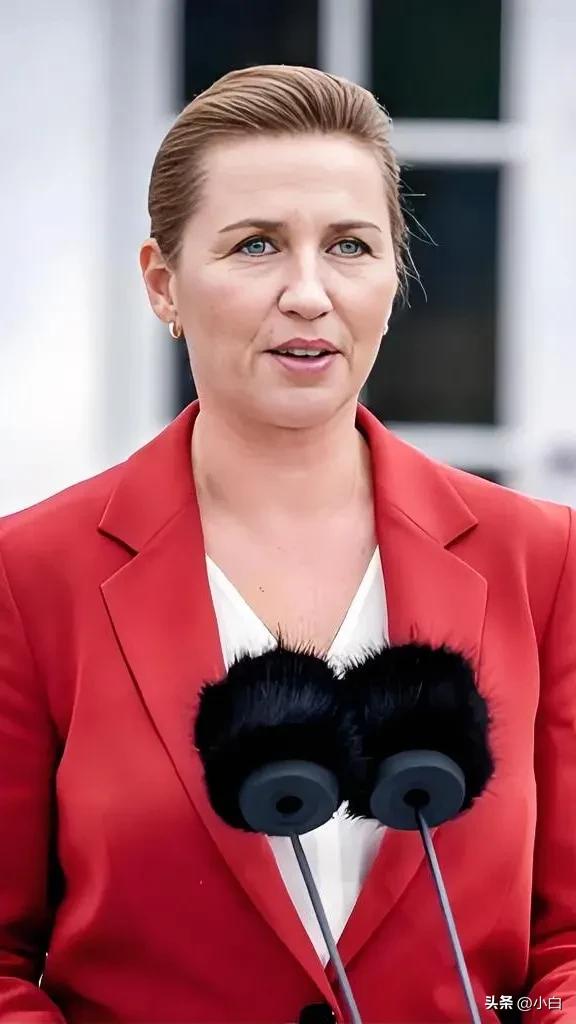 丹麦传来新消息，央视新闻3月25日报道，丹麦首相弗雷泽里克森正式向丹麦国王腓特烈