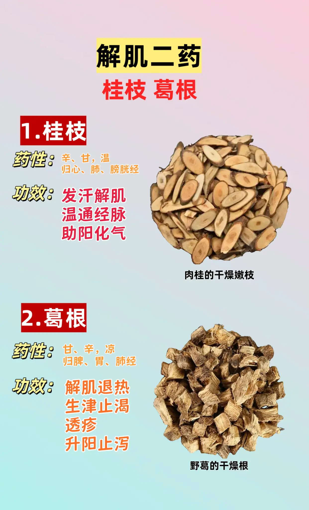 解肌二药：桂枝 葛根。