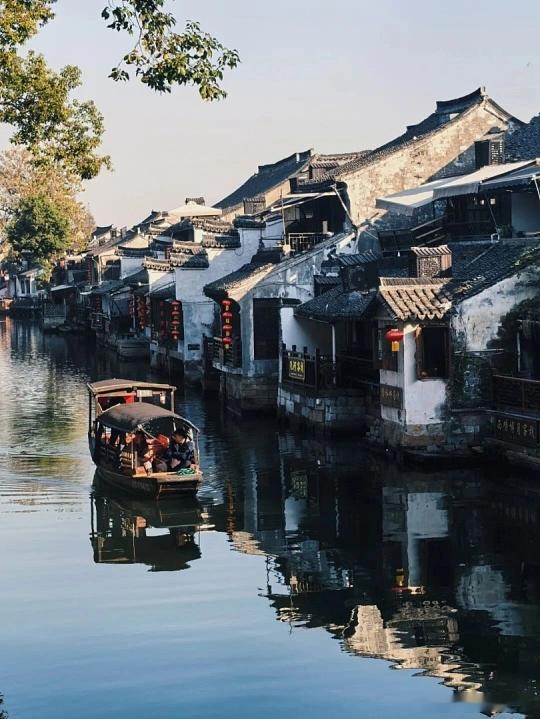西塘宠粉福利太实在了🔥 5.19当天门票半价仅45元，比原价省一半！初夏蔷薇缀