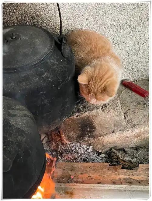 上联：新燕衔泥春情暖
下联：老猫钻炕秋意寒