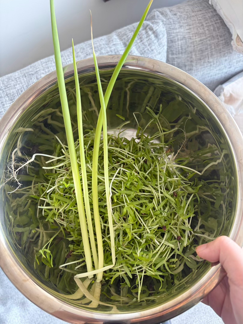打开门把垃圾放门口碰上收垃圾的问我要菜吗我本能反应问了句什么菜 结果她从隔壁端出