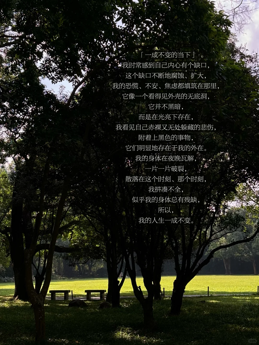 愈来愈多的时刻，成为一个放空的「失语者」