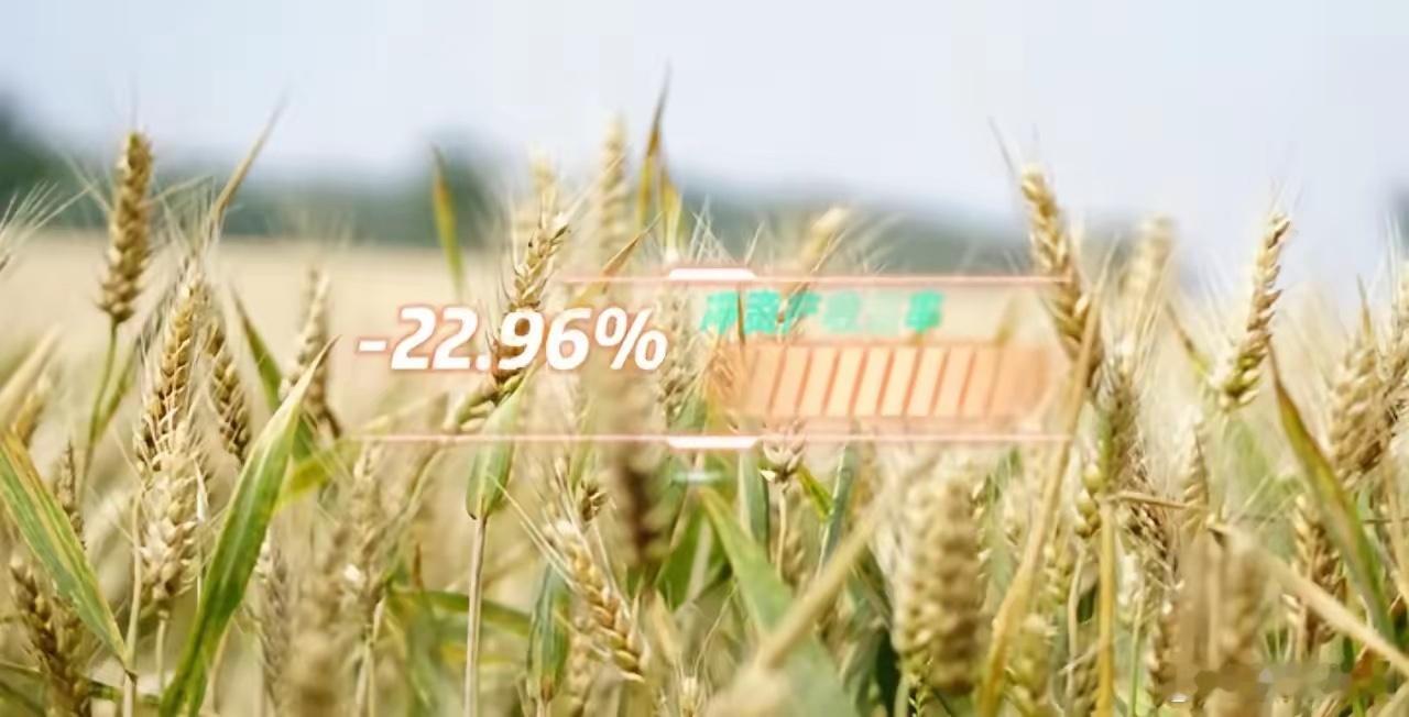 农业种植盈利最强10家企业第10名 大北农净资产收益率：-22.96%核心定位：
