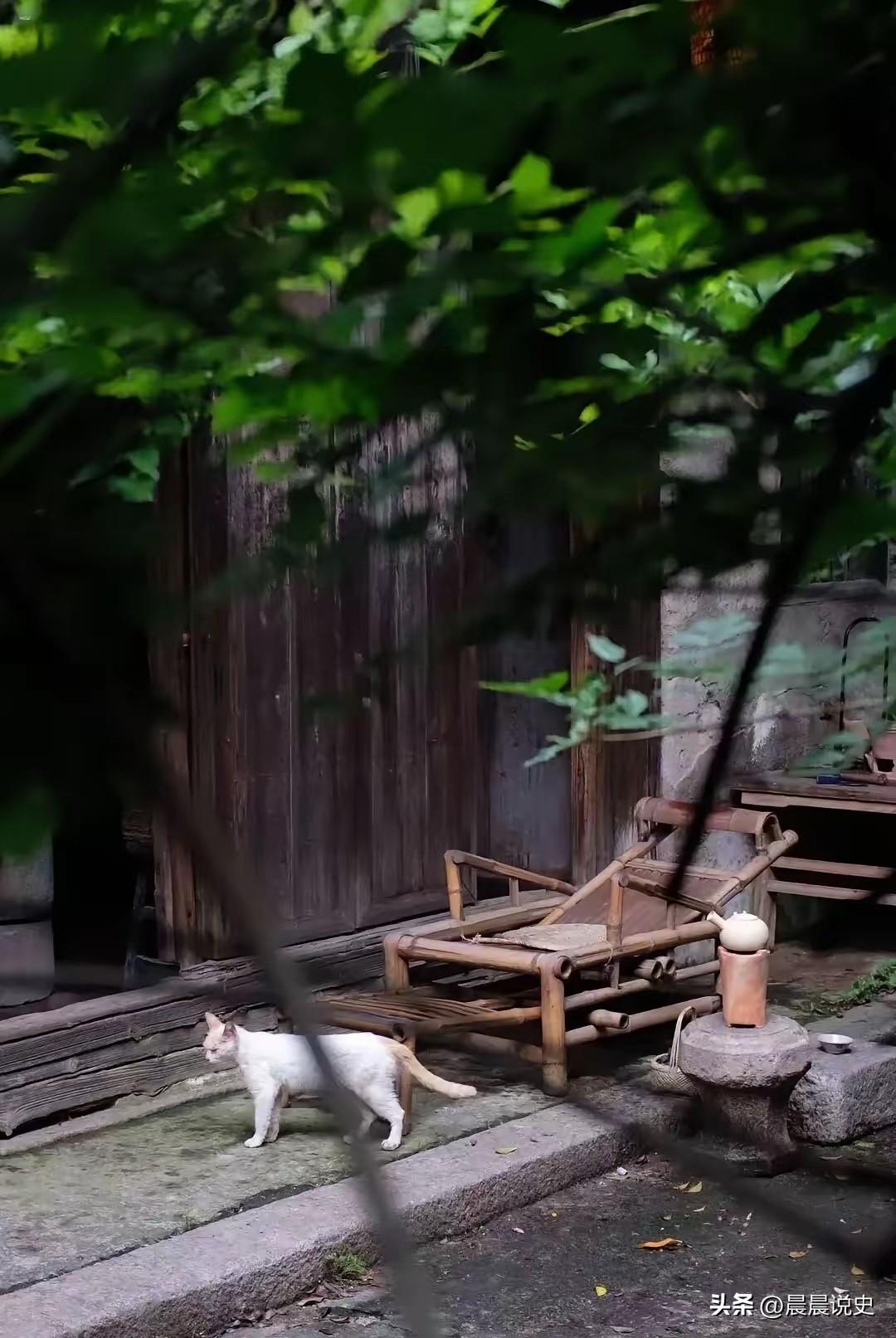 十年后最珍贵的资源，不是房产和存款，而是土地与健康
 
一位老者感慨说：“最多再