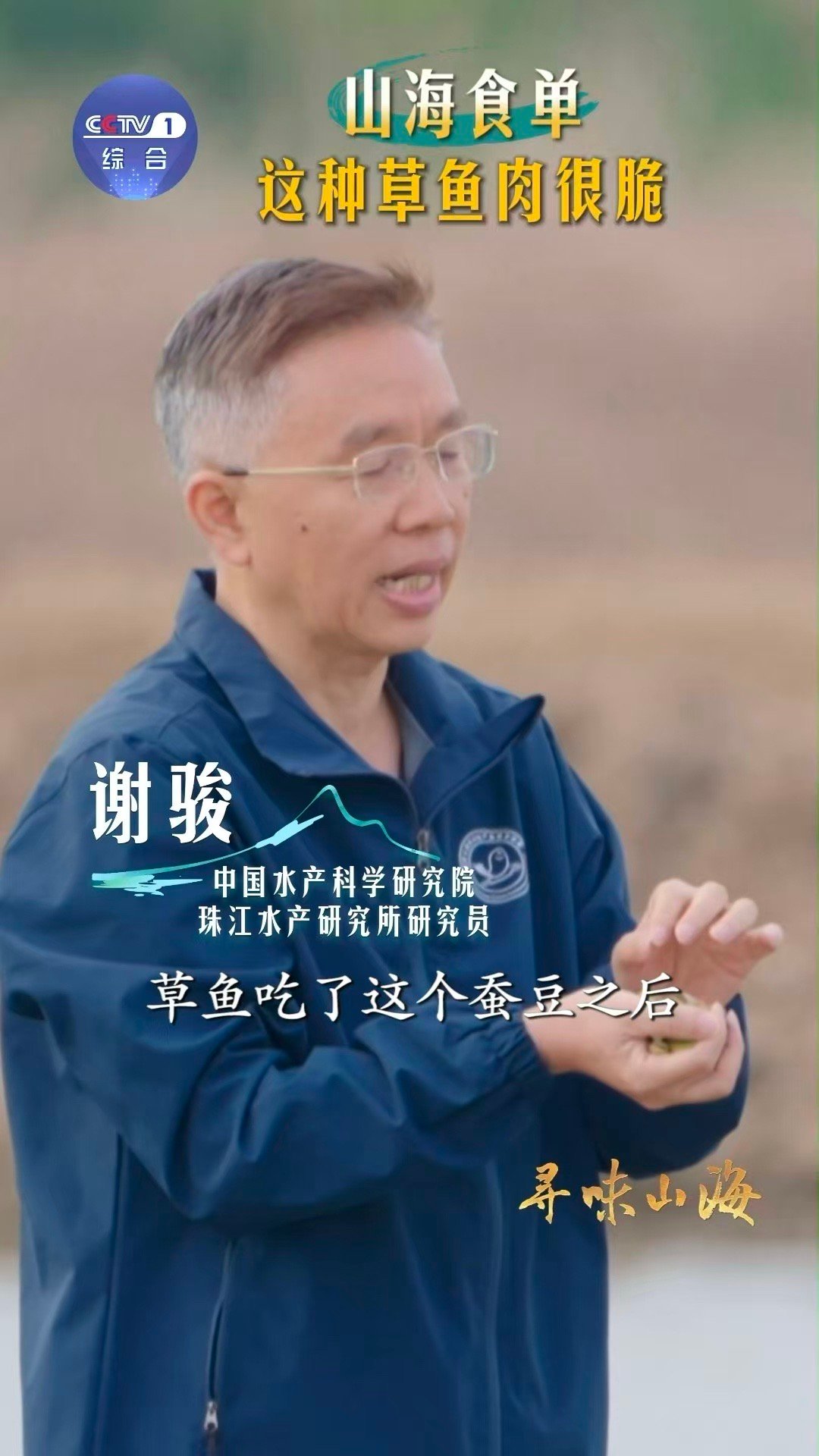 你见过吃蚕豆长大的鱼吗广东中山隐藏美食密码：给鱼喂蚕豆，喂出满身“脆肌”！铜盘里