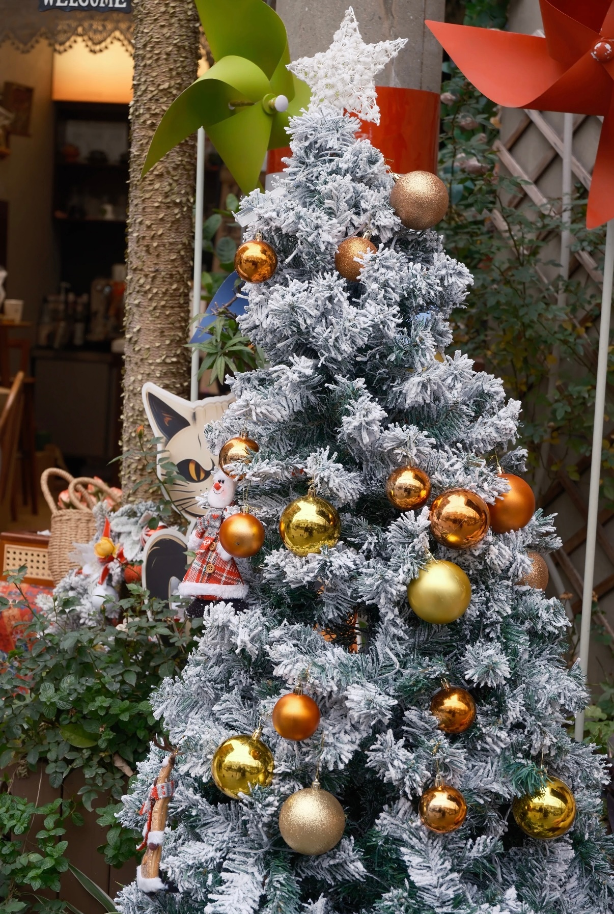 宝贝们圣诞快乐 