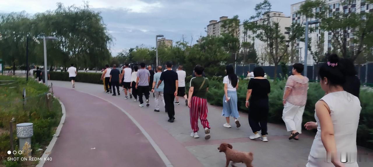 恒安公园的健步队
带着音乐，走起来很拉风 ，我也加入其中。

领队的女士不紧不慢