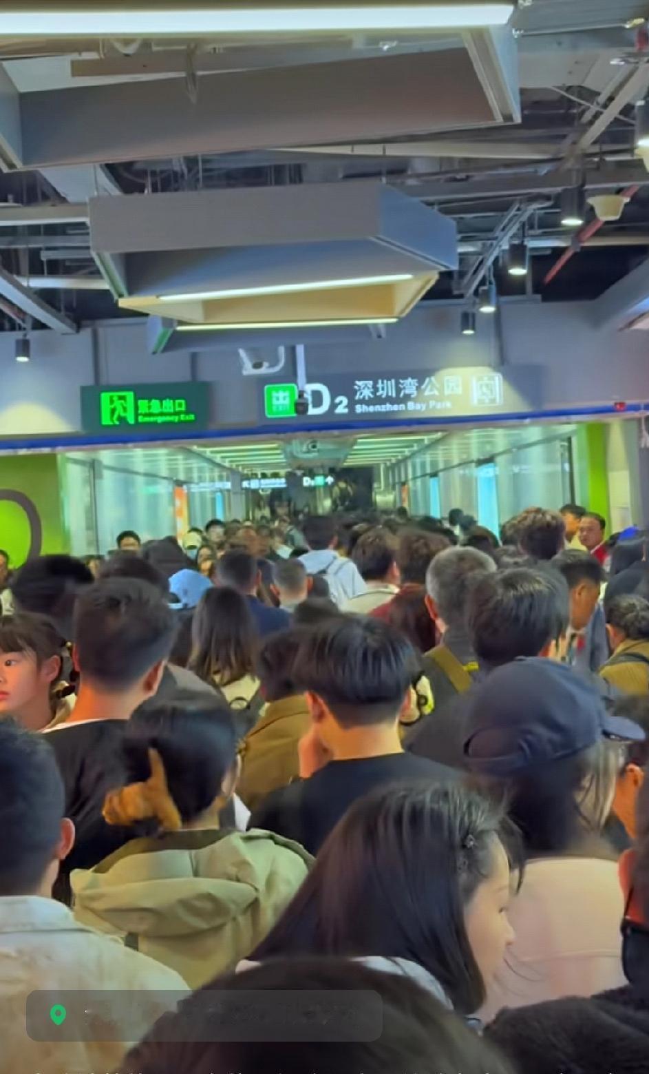 周末去深圳湾看海鸥真要有足够勇气，去早了看海鸥，去晚了看人头[捂脸]