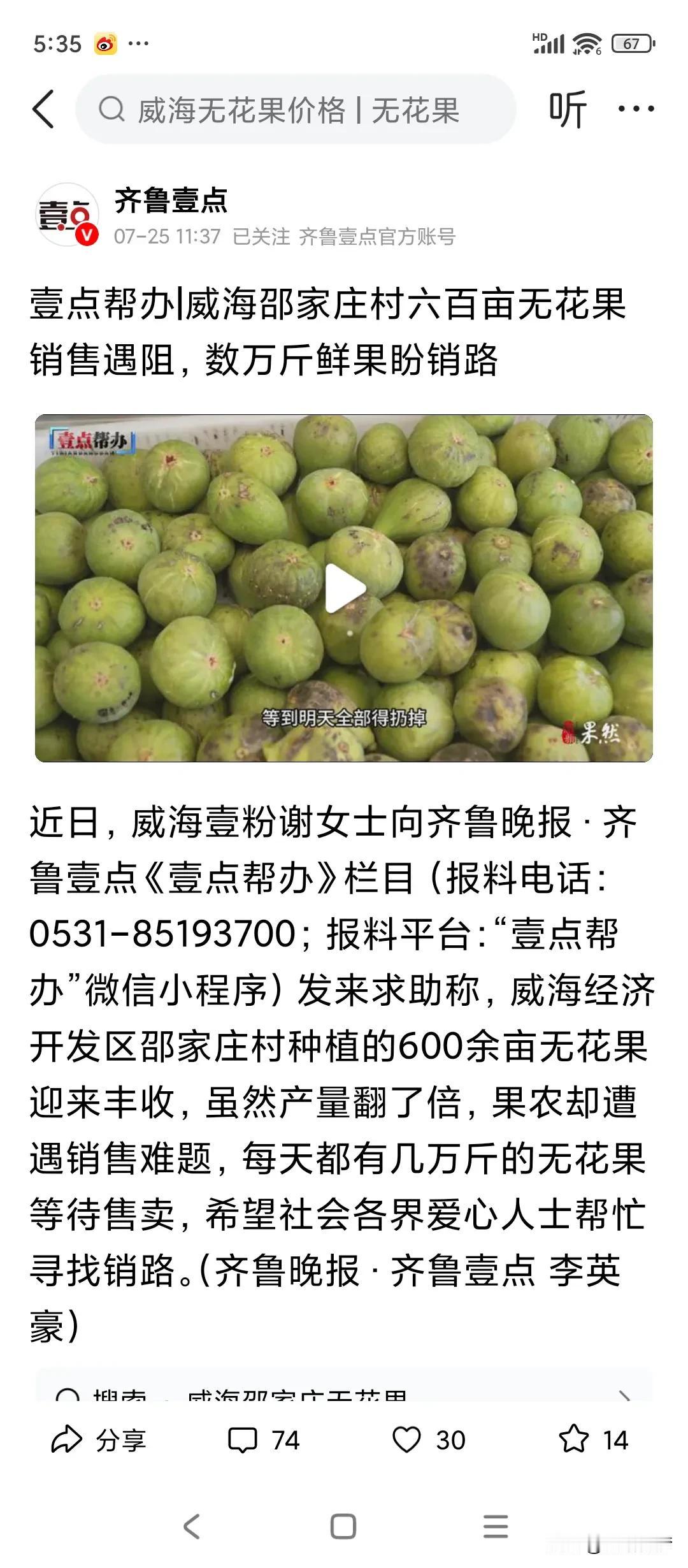 无花果产地的无花果，没有销售量，在我们这边，无花果也没有人买，因为太贵！

看着