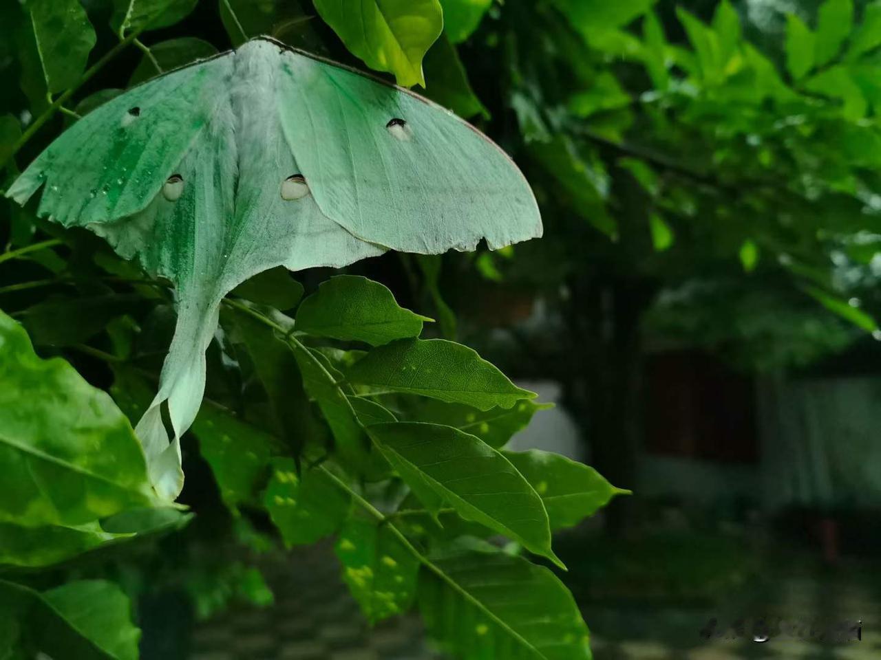 在这里感觉大自然的美好、静谧。
图文原创：江南忆庄园  王斌
带定位晒今日生活