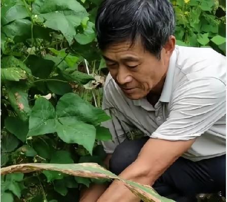 山东61岁的农村种地大叔李爱民，一边努力生活，一边坚持画画。他白天种地，晚上画画