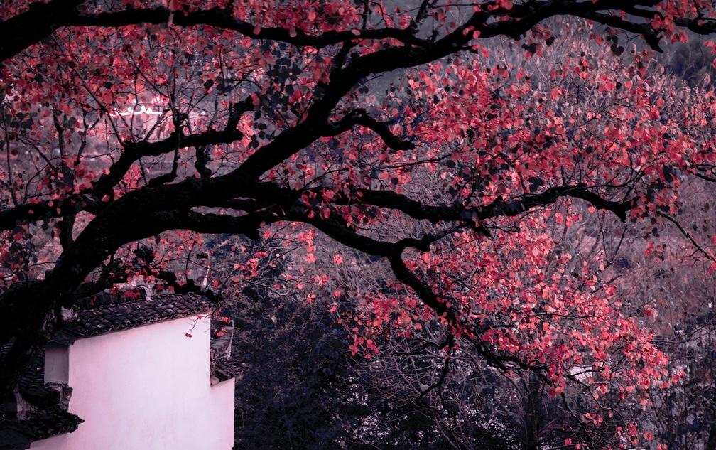 西方人的算计就是如果中国和日本开战，中国会像俄罗斯一样会陷入战争的泥潭，我觉得不