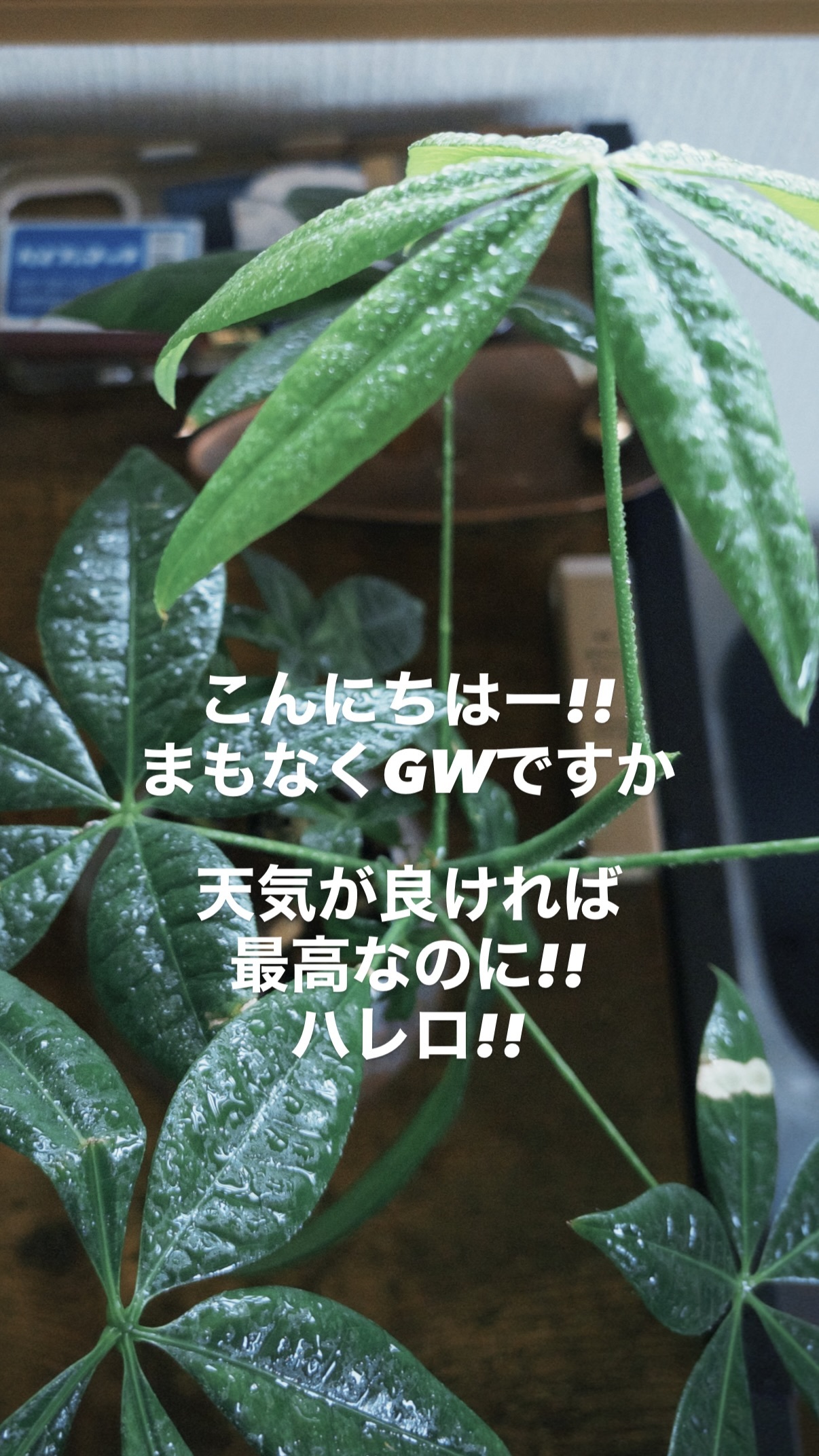 榊原徹士（ins 快拍 