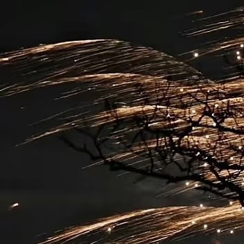 熊猫守护者[超话] ✅熊猫守护者 ✅森林驿站 从今天起，活在每一个“今天”。那积