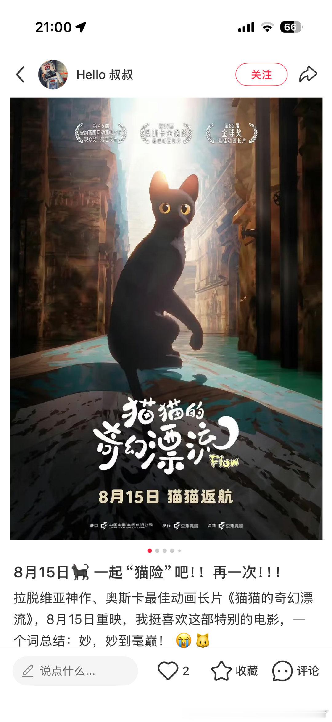 我打算再一次把钱送给猫猫 