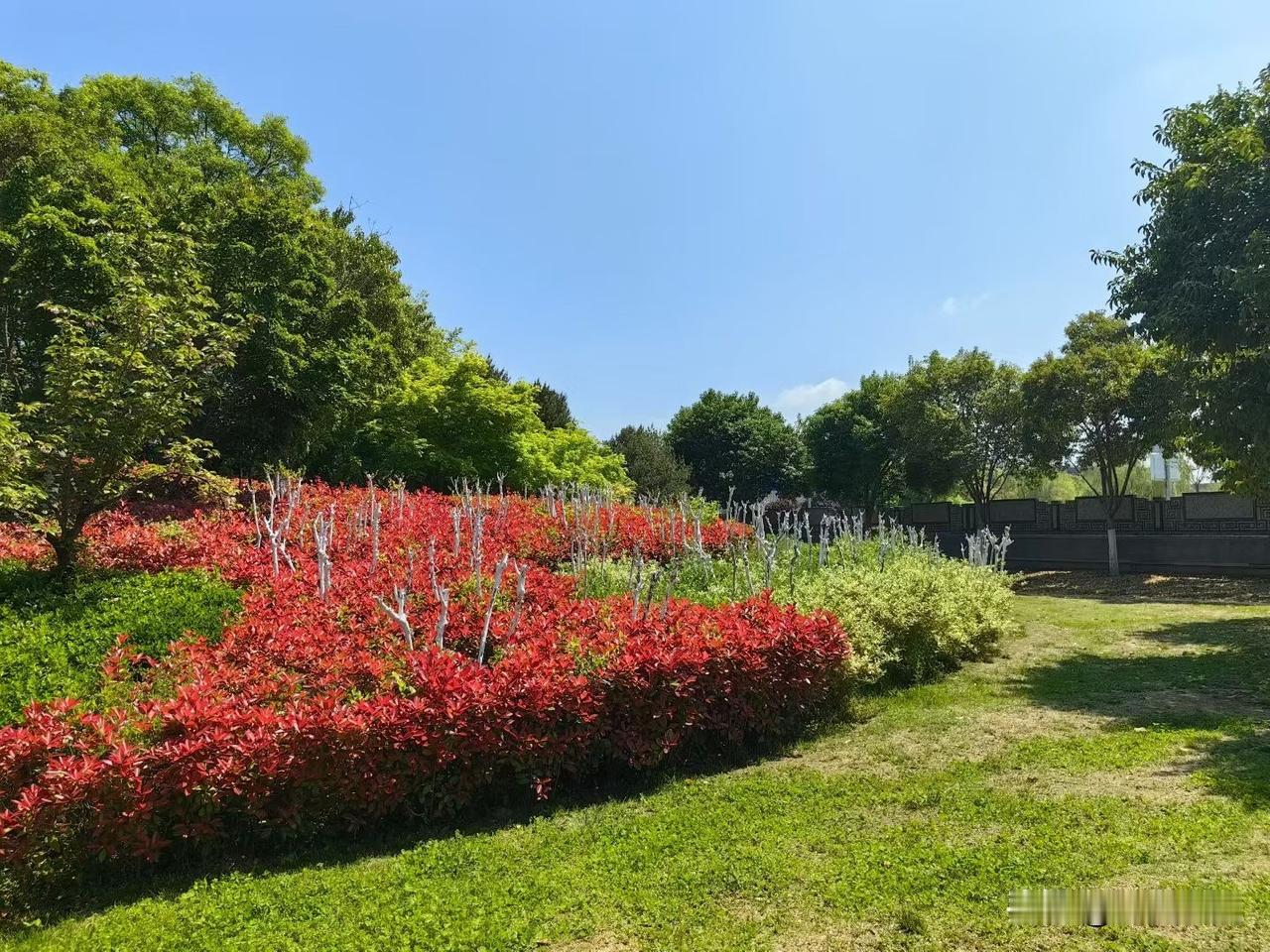 【小对联】
上：顺道；
下：……？