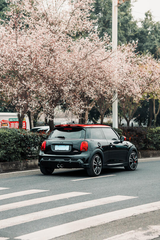 成都的花都开了、你们的mini呢？