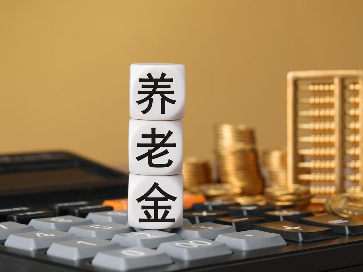 2025年物价工资单揭晓，养老金上涨在即，这回能涨多少?
眼瞅着2025年的物价