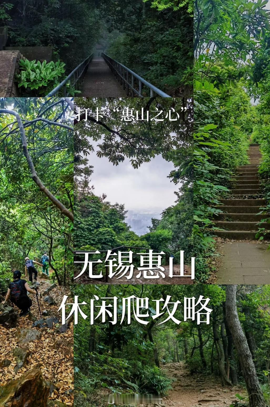 打卡无锡惠山之心，夏日感受下森林的清新凉意#不躺平挑战##超级红人节##动就一起