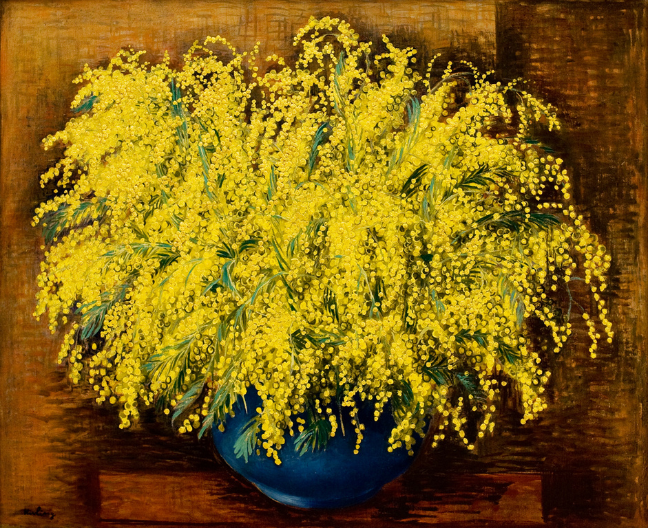 *基斯林含羞草-𝑴𝒊𝒎𝒐𝒔𝒂𝒔-Moïse Kisling, 19