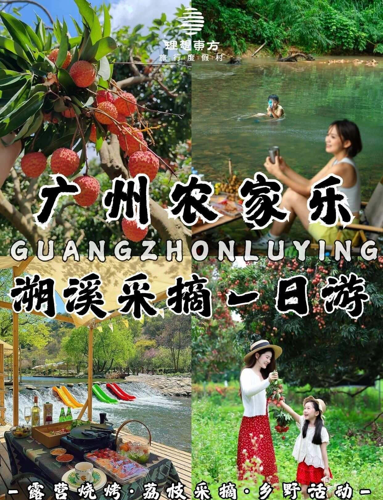 广州溯溪采摘一日游｜溪边露营+水枪大战
广州40min直达森野溪谷，溯溪漂浮+溪