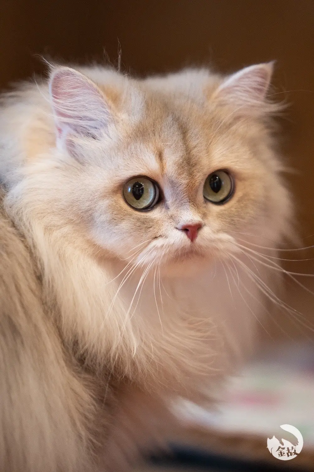 是绝世好妈妈nana呀❤️